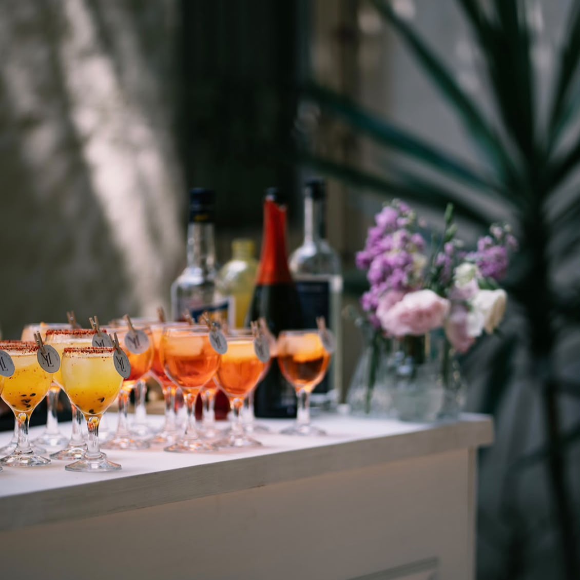 Barra de Coctelería - Premium